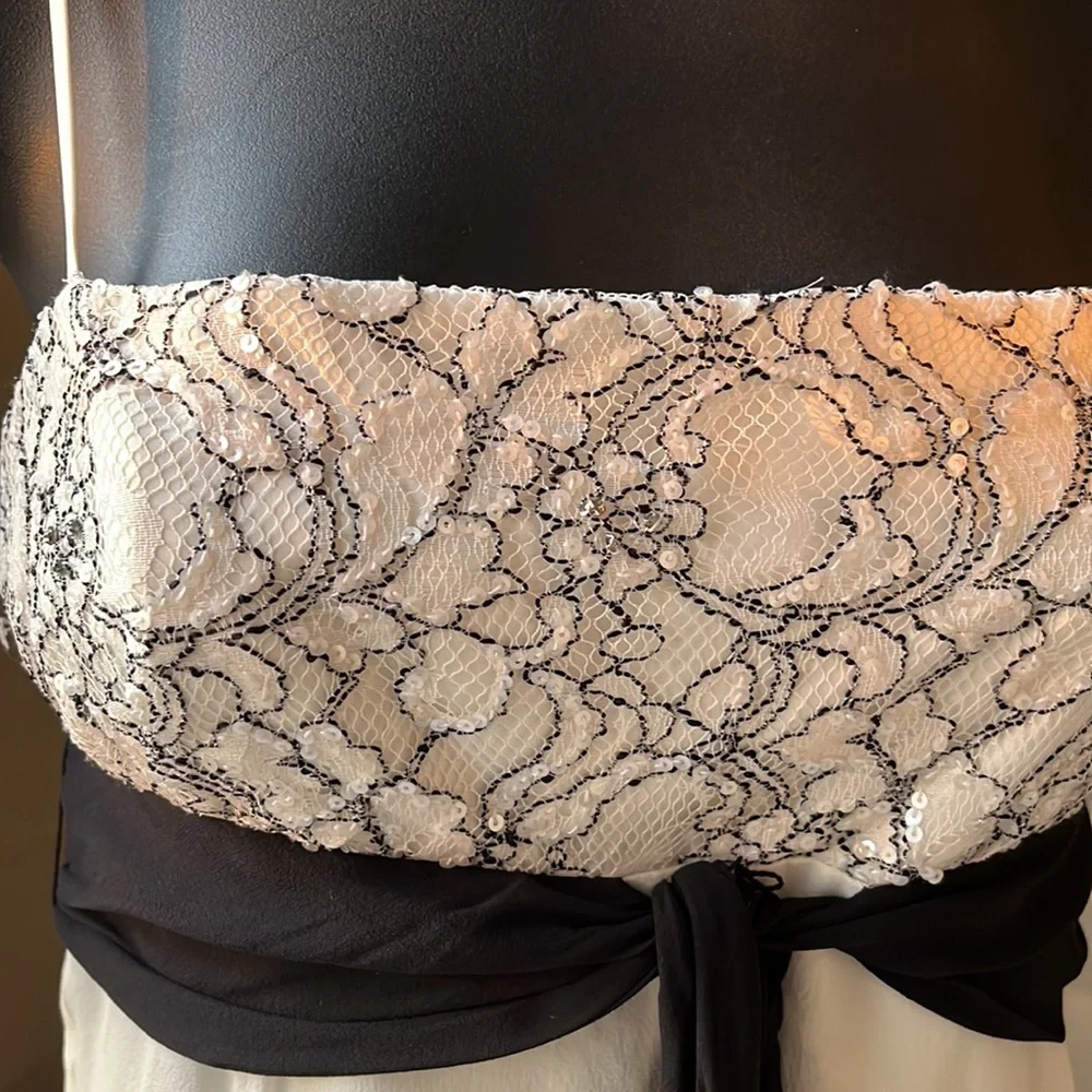 Silk Adjustable Straps Empire Silhouette.Preowned - Picture 2 of 9